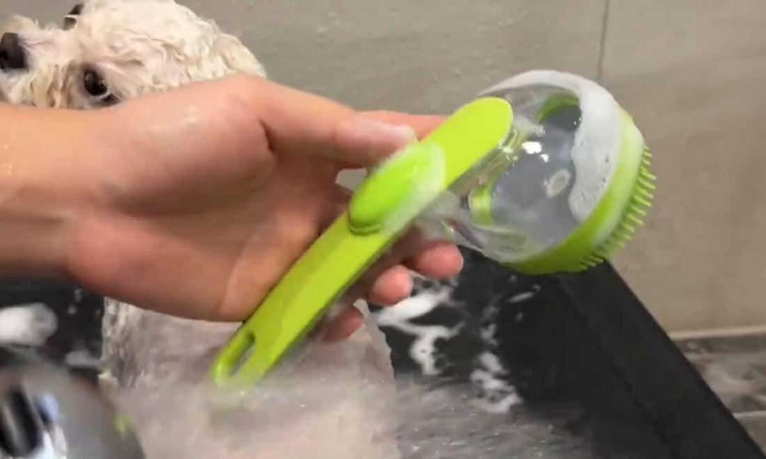 The Dermatology of Pet Grooming - Pawra Pet Care