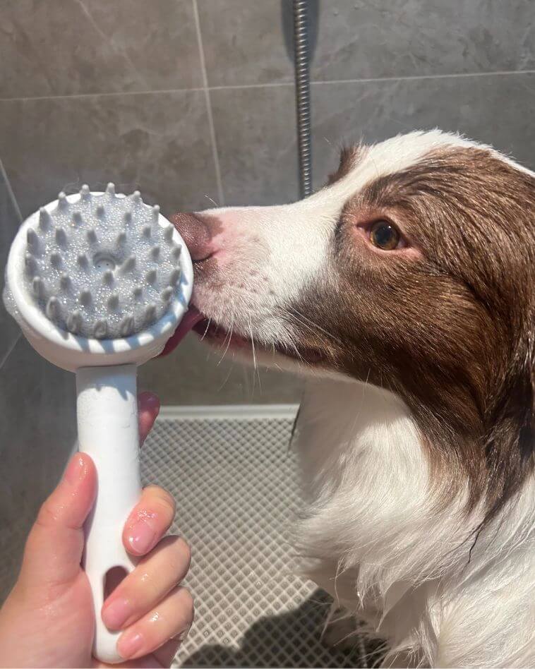 The Helper Tools - Pawra Pet Care