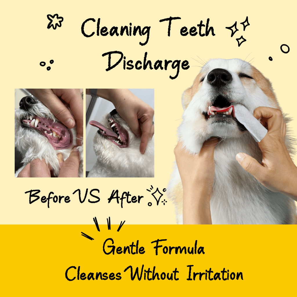Pet Cleaning Finger Wipes– Eye, Ear & Teeth Care for Dogs & Cats | Pawra Pet Care Pet Grooming Supplies