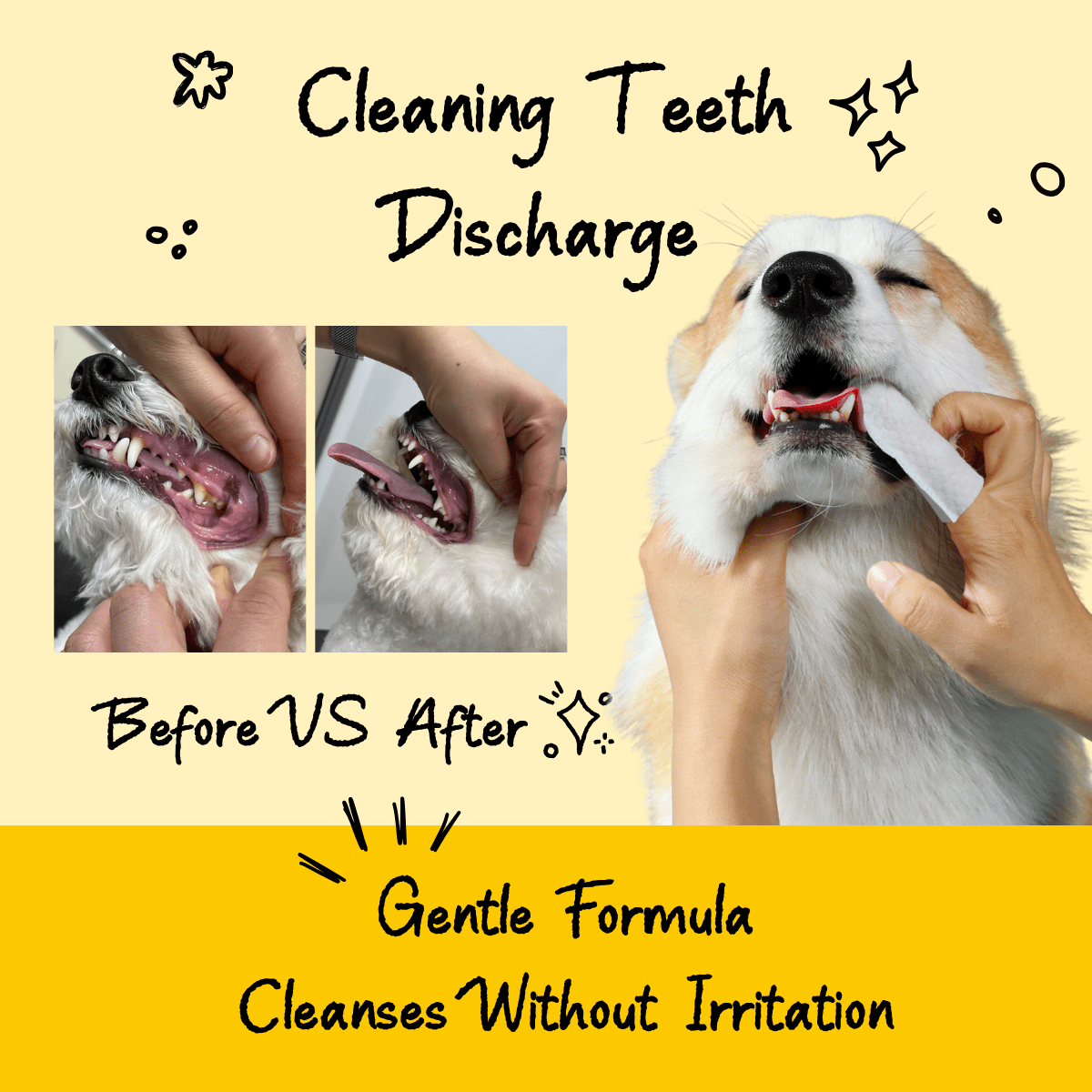Pet Cleaning Finger Wipes– Eye, Ear & Teeth Care for Dogs & Cats | Pawra Pet Care Pet Grooming Supplies