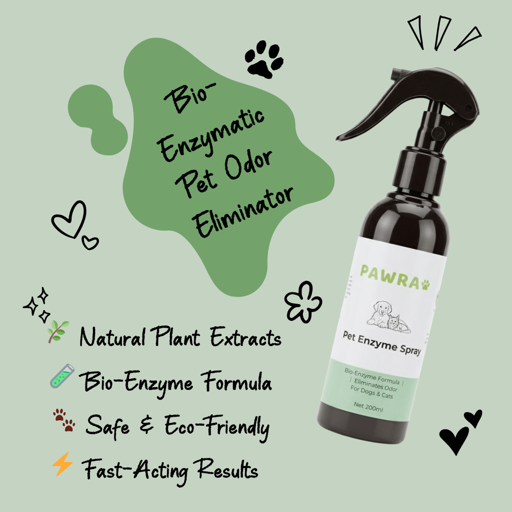 Pet Enzyme Odor Eliminator Spray – Natural Urine & Odor Remover for Dogs & Cats | Pawra Pet Care Pet Grooming Supplies