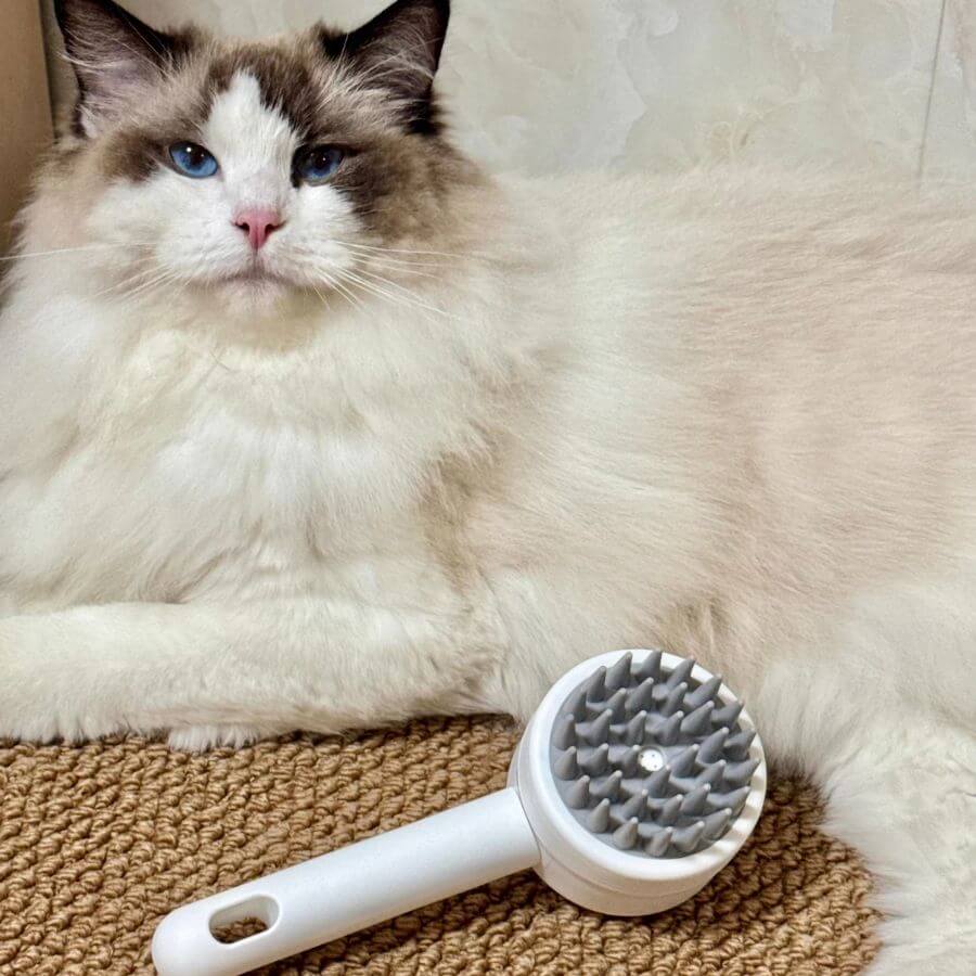 Silicone Pet Scrub: The Ultimate Massage & Deep Clean Bathing Tool for Dogs & Cats | Pawra Pet Care Pet Grooming Supplies