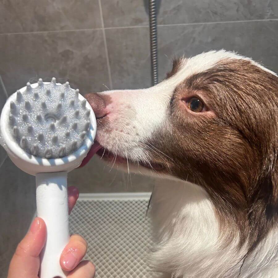 Silicone Pet Scrub: The Ultimate Massage & Deep Clean Bathing Tool for Dogs & Cats | Pawra Pet Care Pet Grooming Supplies